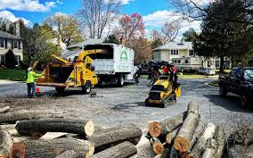 Best Tree Removal Services  in Clinton, LA